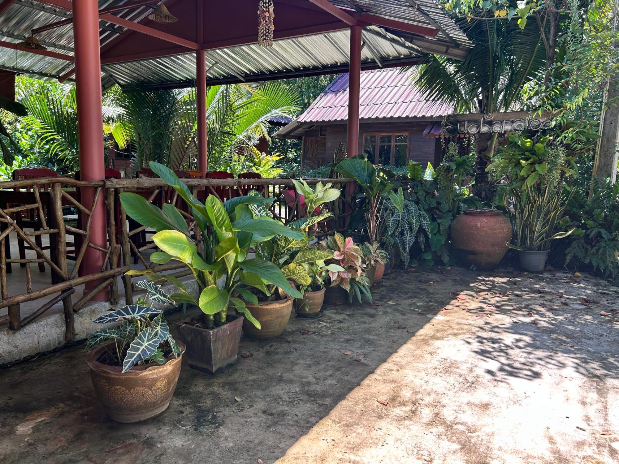 Suchanaree@Laemngop Trat Ngoại thất bức ảnh
